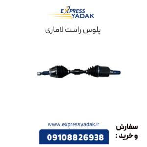 پلوس راست لاماری