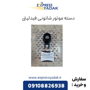 دسته موتور شاتونی فیدلیتی